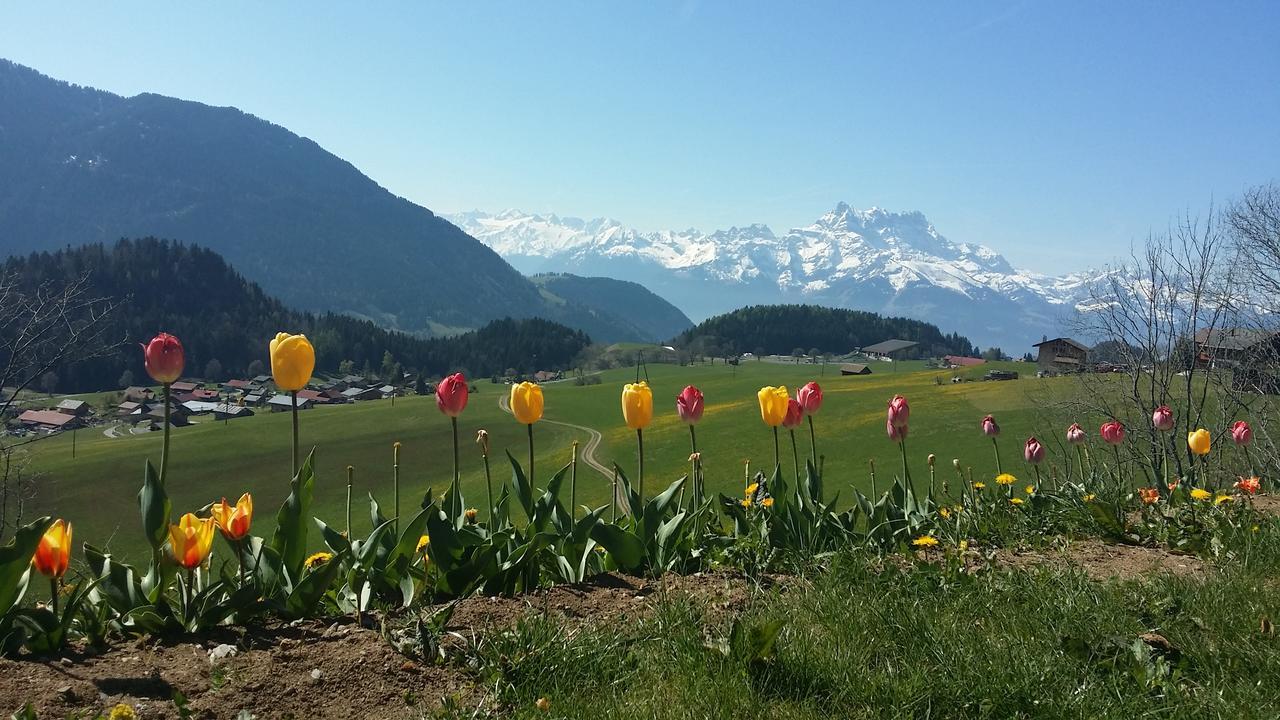 Villa Winterfell Leysin Exterior foto