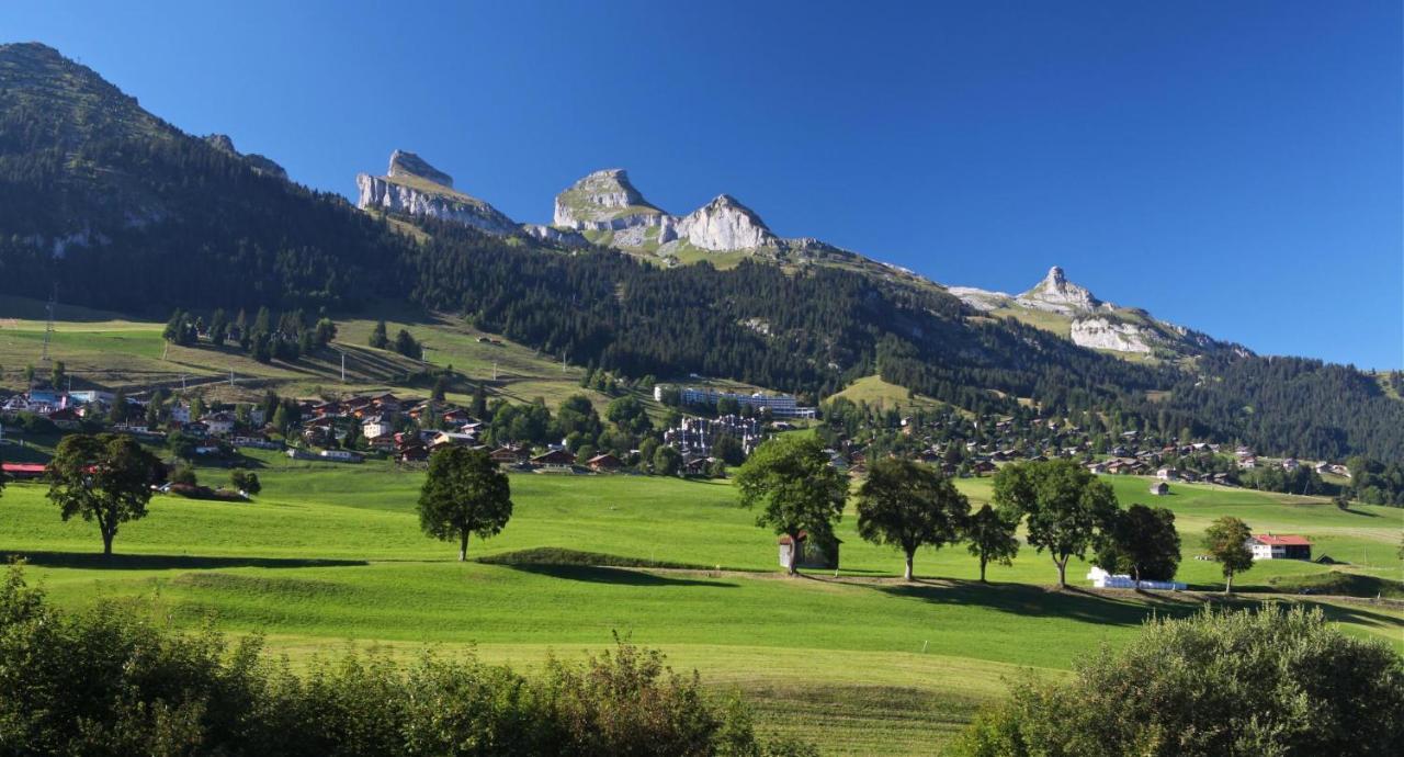 Villa Winterfell Leysin Exterior foto