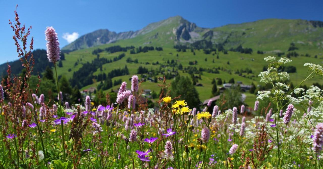 Villa Winterfell Leysin Exterior foto